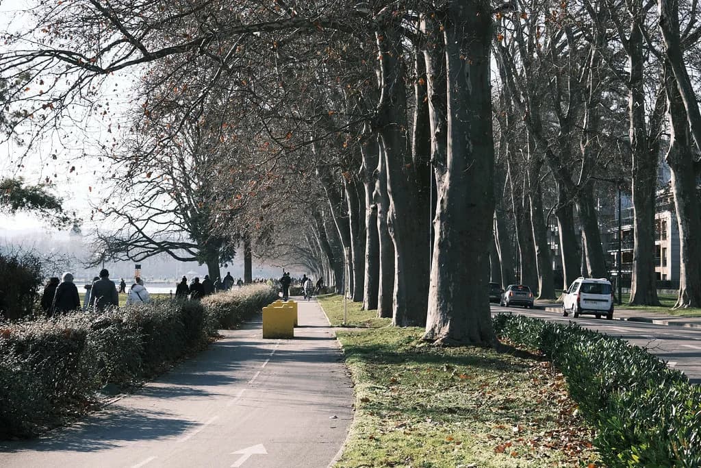 Annecy in January: Weather, What's Open & Things to Do