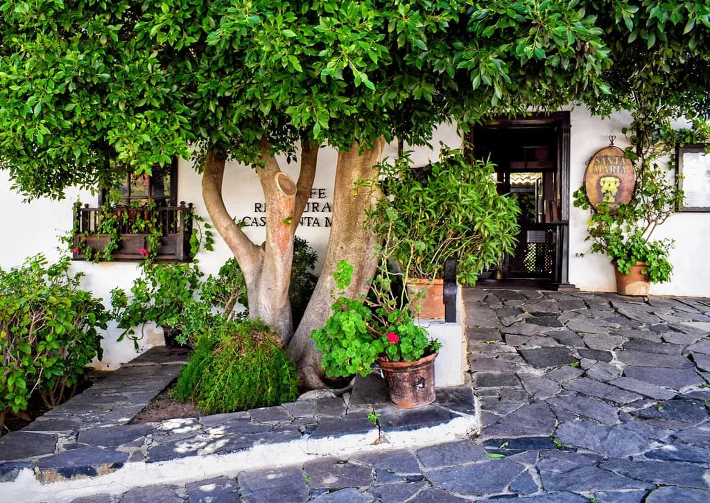 Christmas in Canary Islands: Where To Go & What To Expect