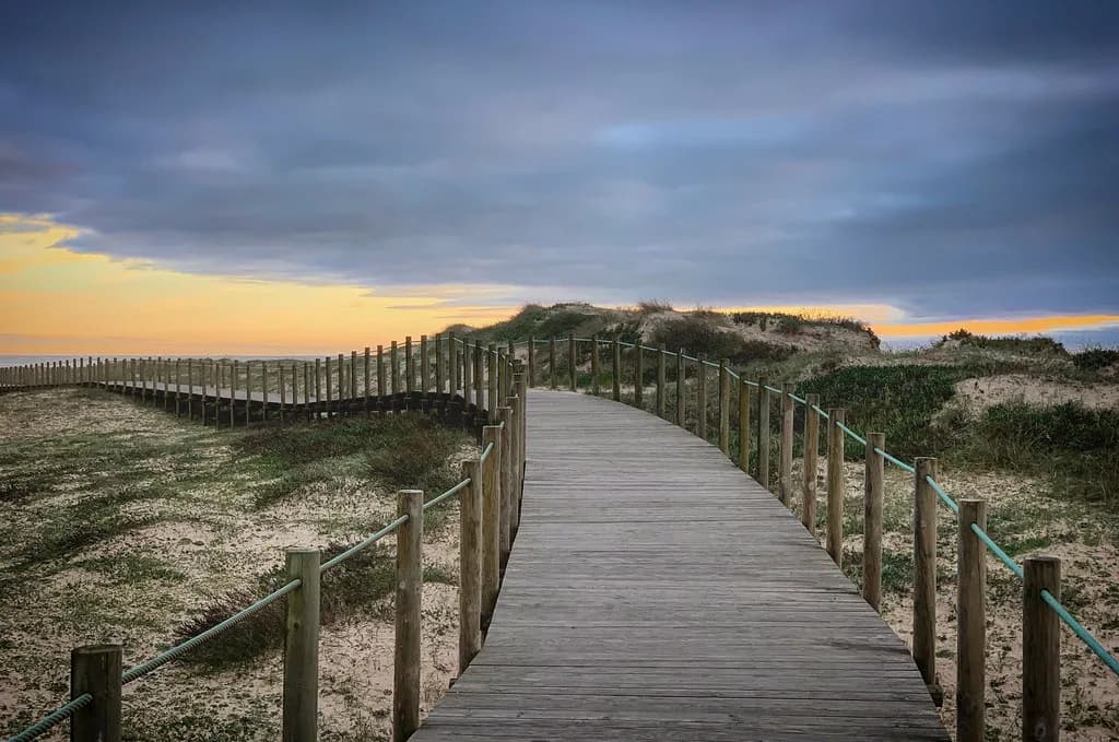 Christmas in Portugal: Traditions, Food and What's Open