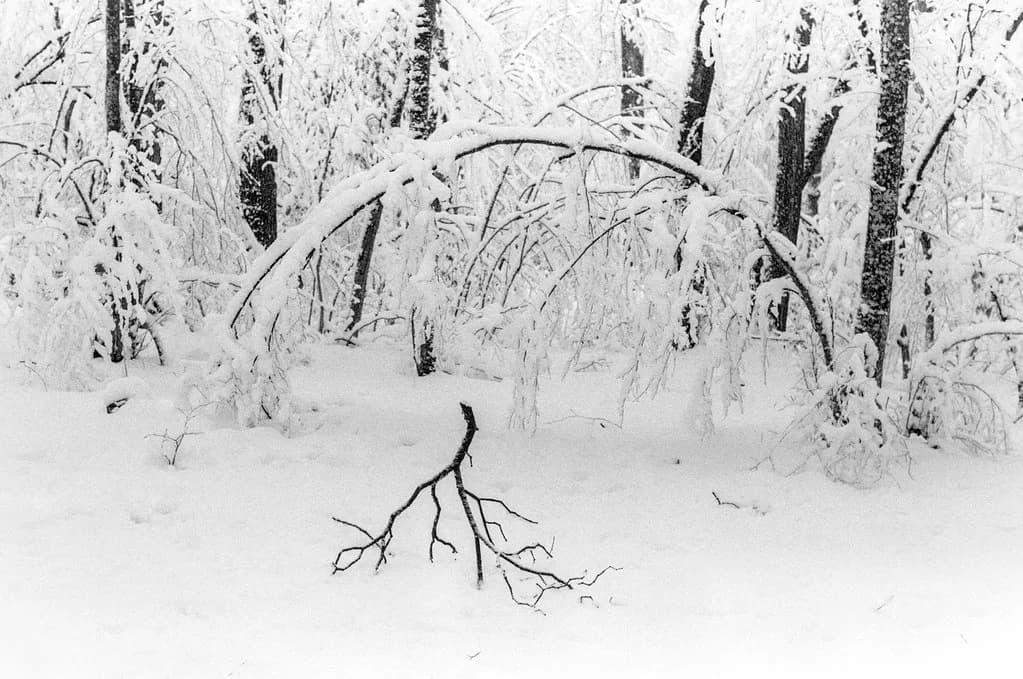 Does It Snow in Croatia? Where and When It Snows in Winter