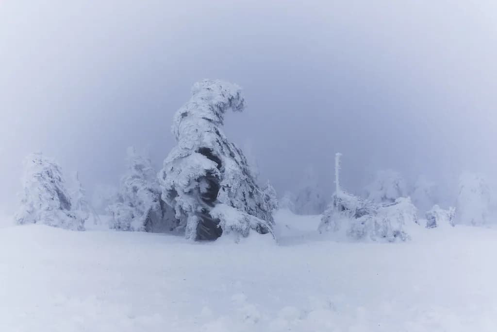 Does It Snow in Germany? Winter Snow by Region and Month