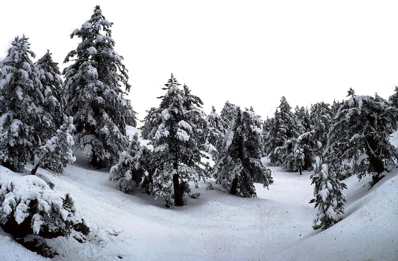 Does It Snow in Greece? Where, When and What to Expect