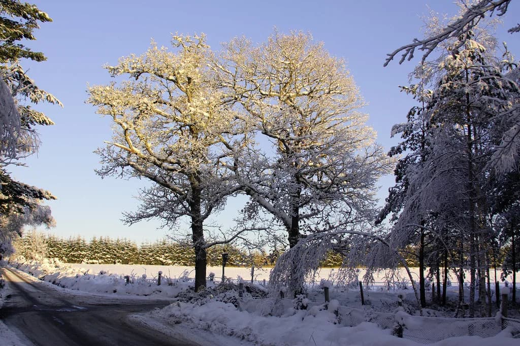 Does It Snow in Inverness? Highland Snow by Month
