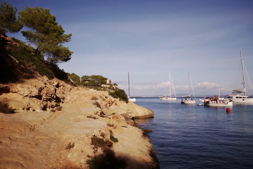 Does It Snow in Mallorca? What to Expect in Winter