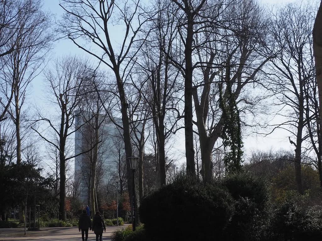 Düsseldorf in December: Weather, Markets & What's Open