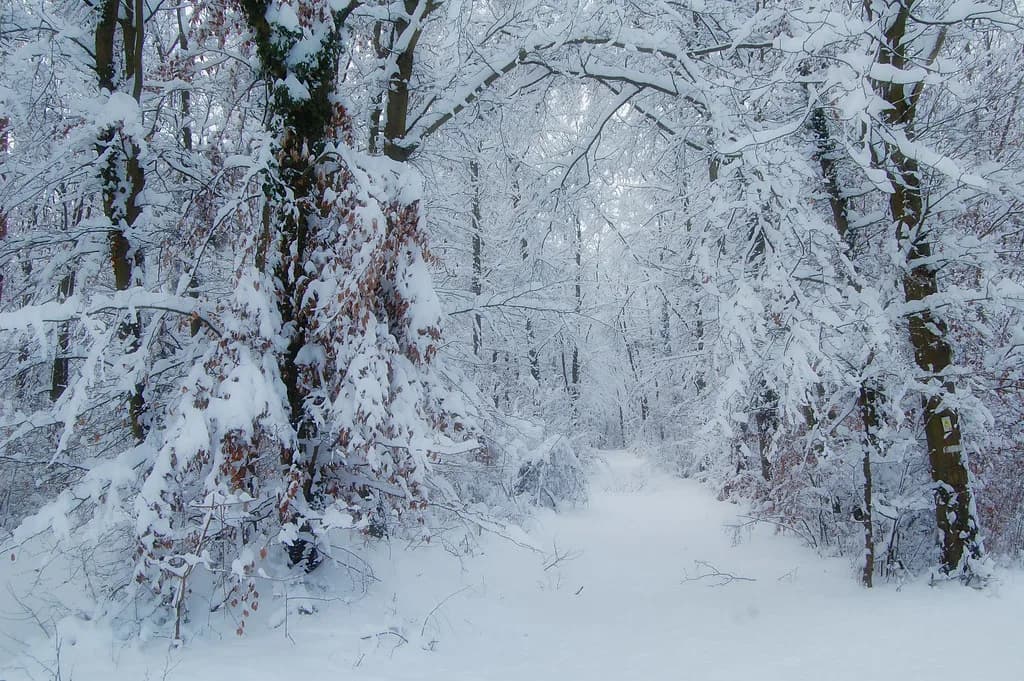 France in February: Weather, What's Open and Where to Go
