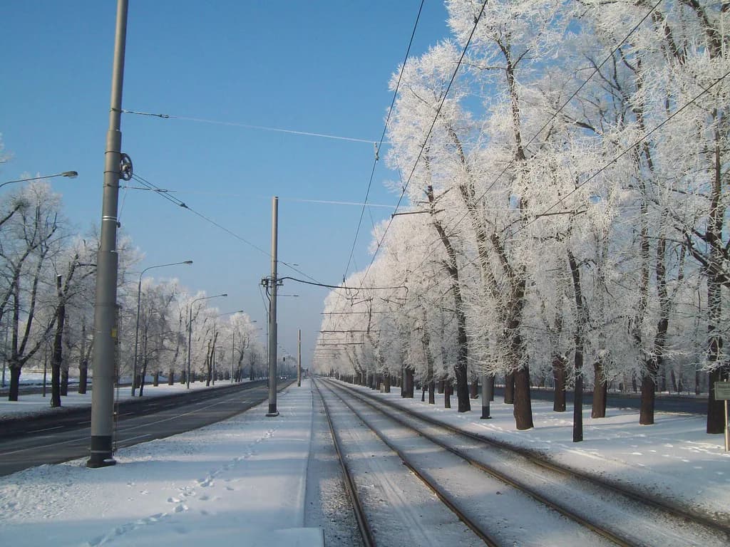 Gdańsk in Winter: Weather and What Stays Open