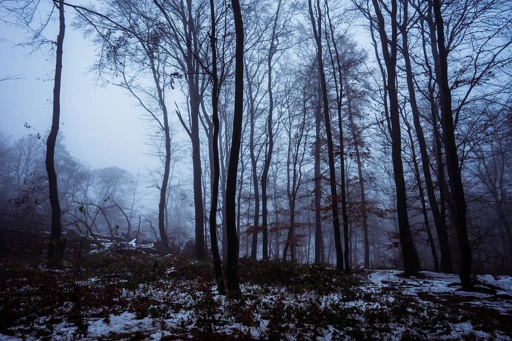 Germany in Winter: Where to Go, Weather and What's Open