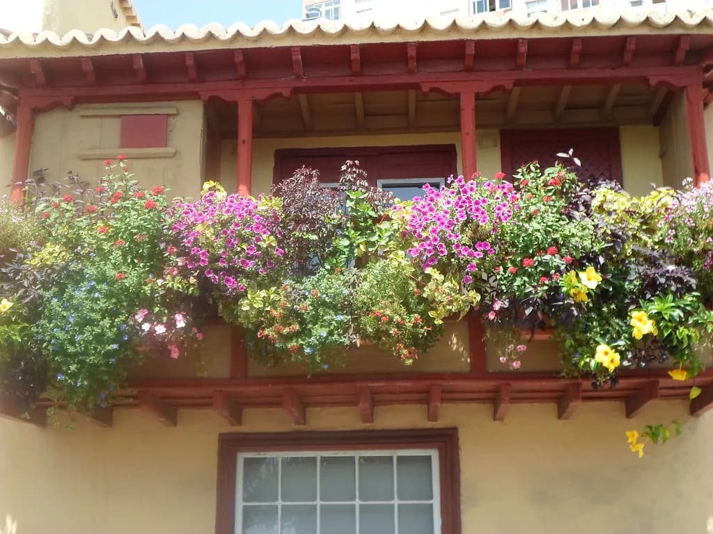 La Palma in February: Mild Days, Quiet Trails and Carnival