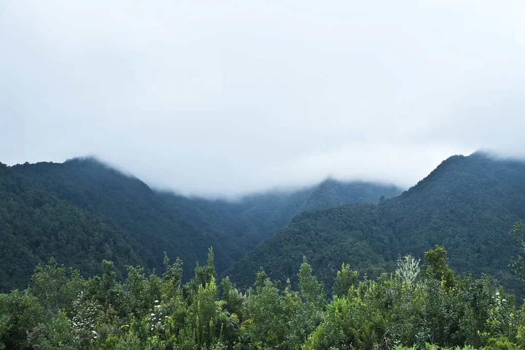 La Palma in January: Mild Winter Weather and What's Open