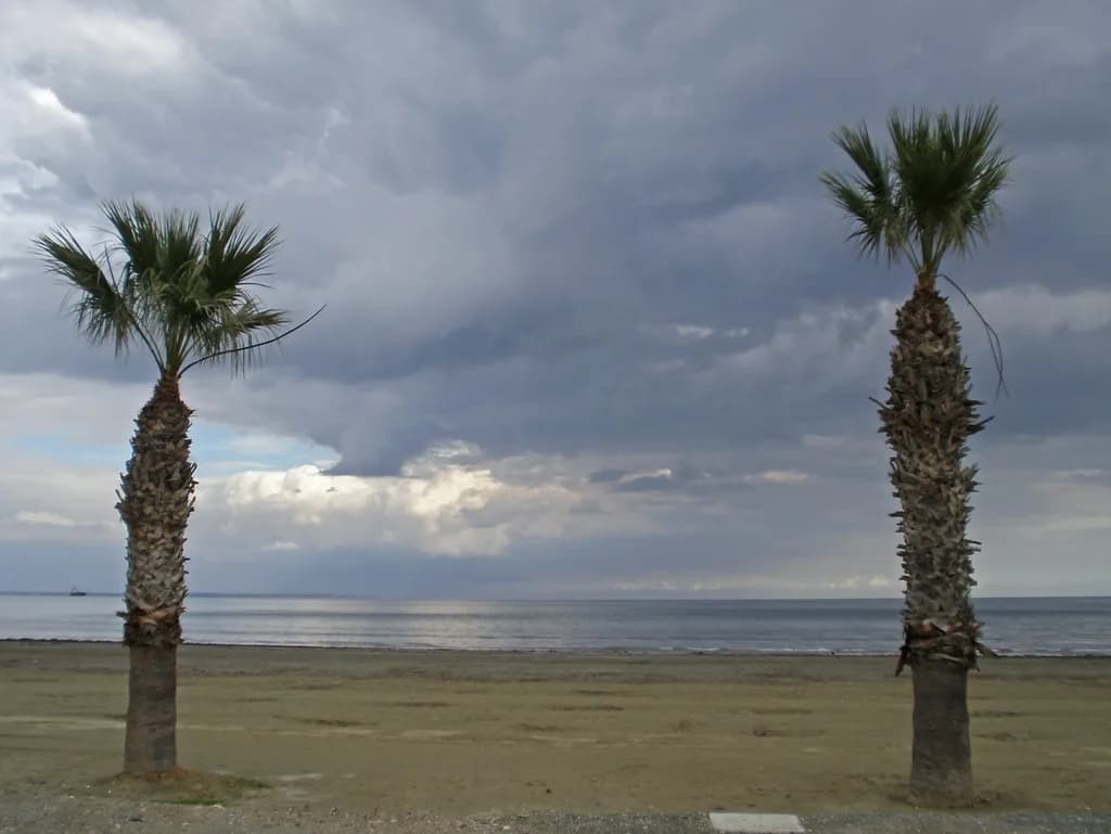Larnaca in January: Mild Winter Weather & Quiet Beaches