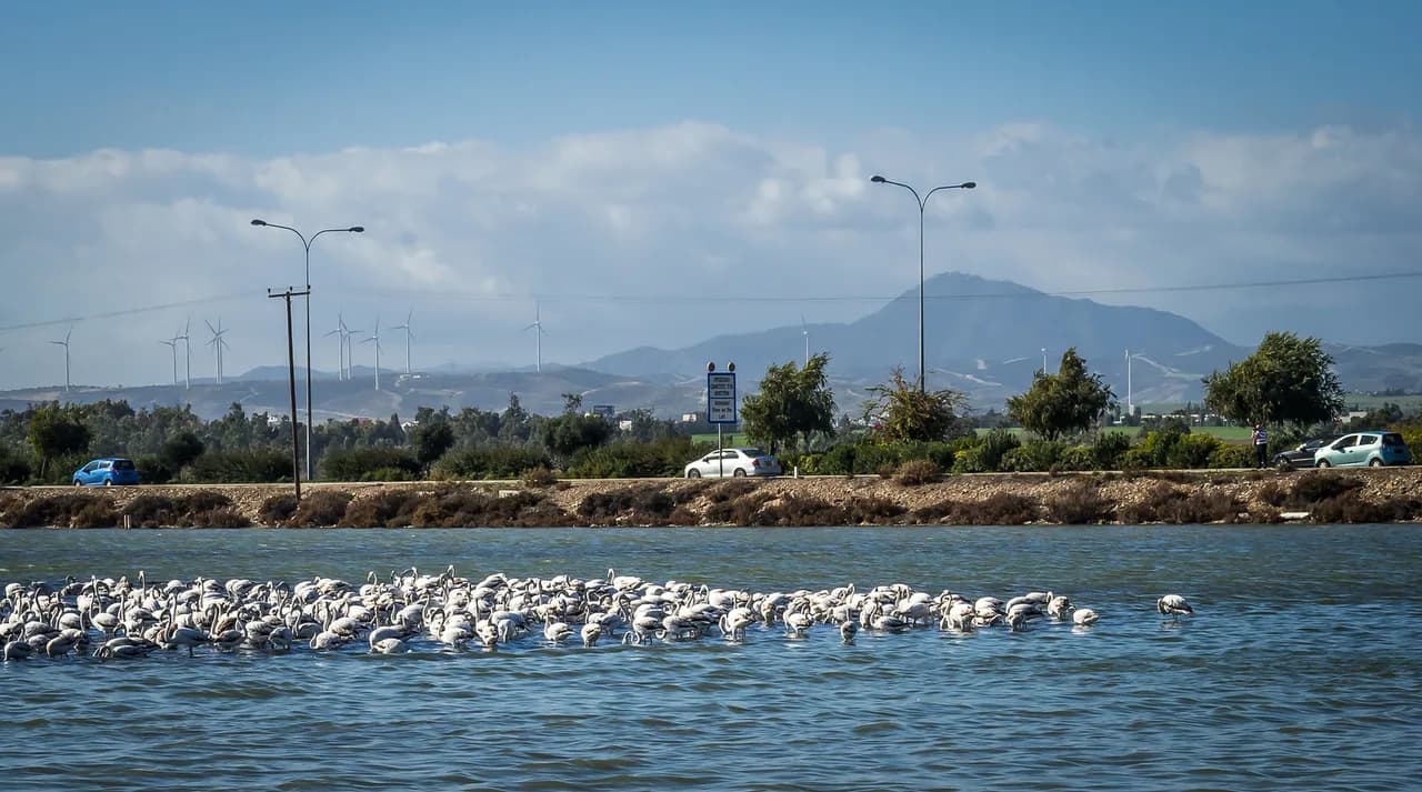 Larnaca in November: Weather, What's Open and Who It Suits