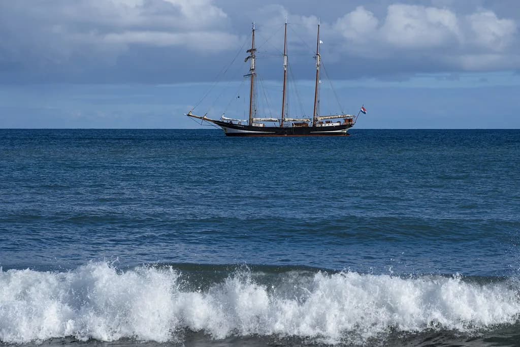Madeira in March: Weather, What's Open and What to Do