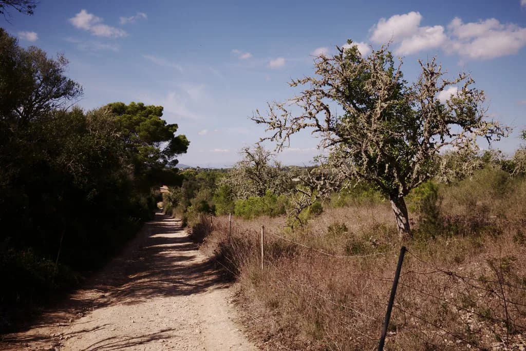 Mallorca in December: Winter Weather and What to Do
