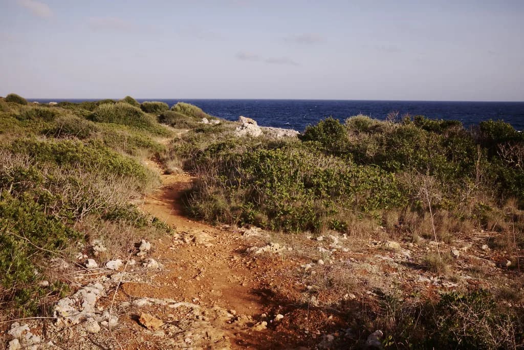 Mallorca in January: Weather, Events and What Stays Open