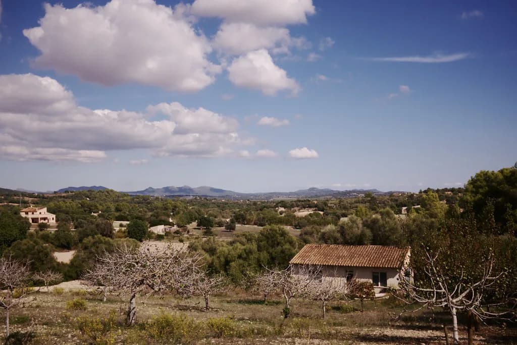 Mallorca in November: Weather, Crowds and What's On