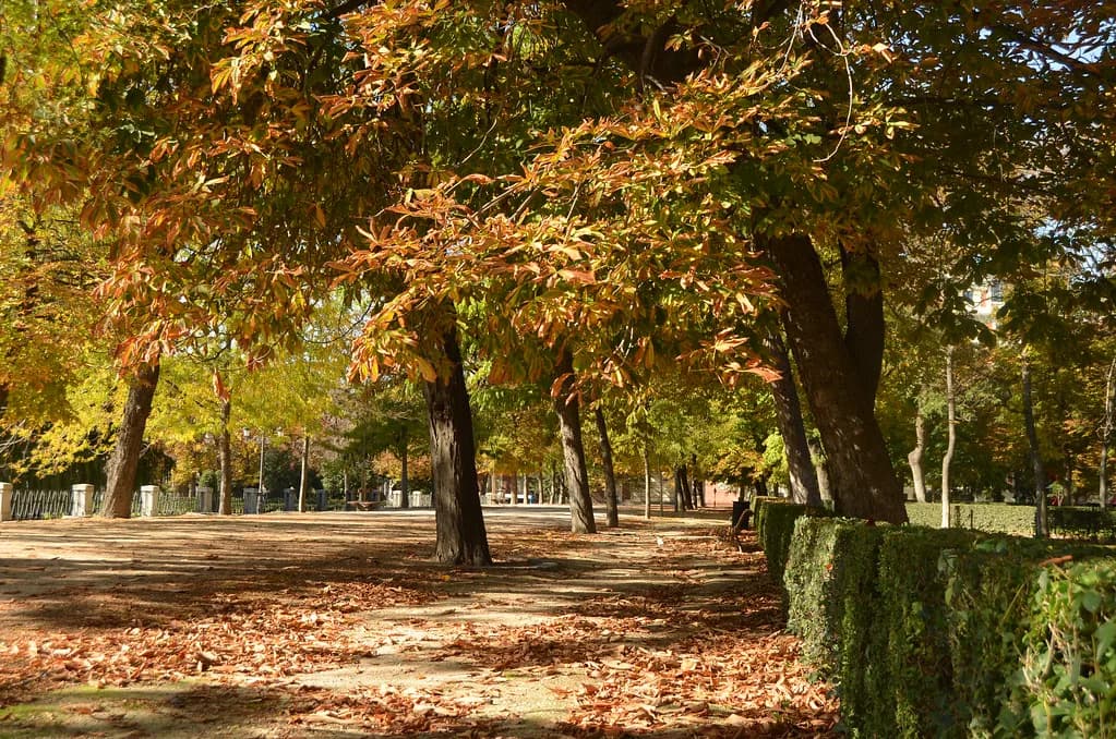 Spain in November: Weather, Crowds and Where to Go
