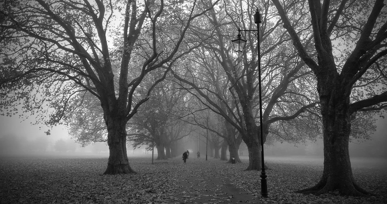Cambridge in November