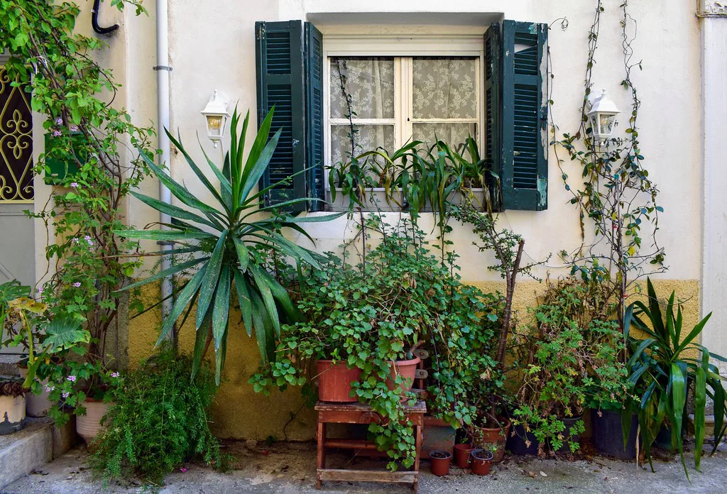 Window with Greenery, Corfu