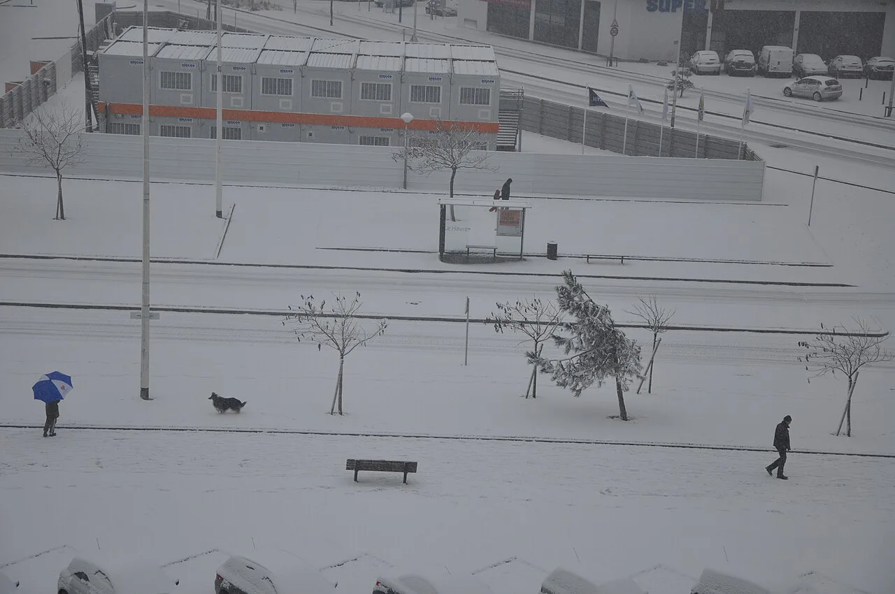 Le Havre (France) Snow in avenue Foch