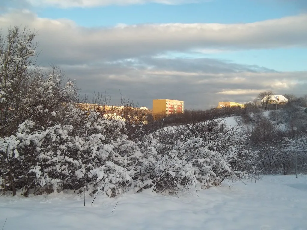 Gdańsk - zima - winter - inverno - invierno
