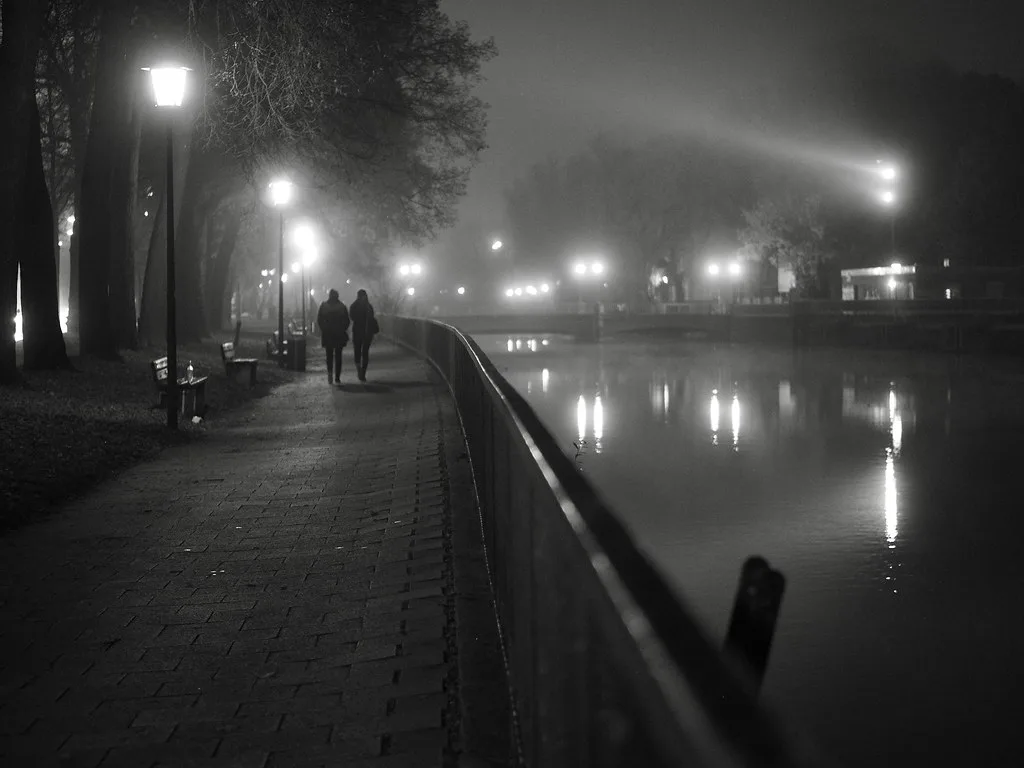 Foggy November night, Germany