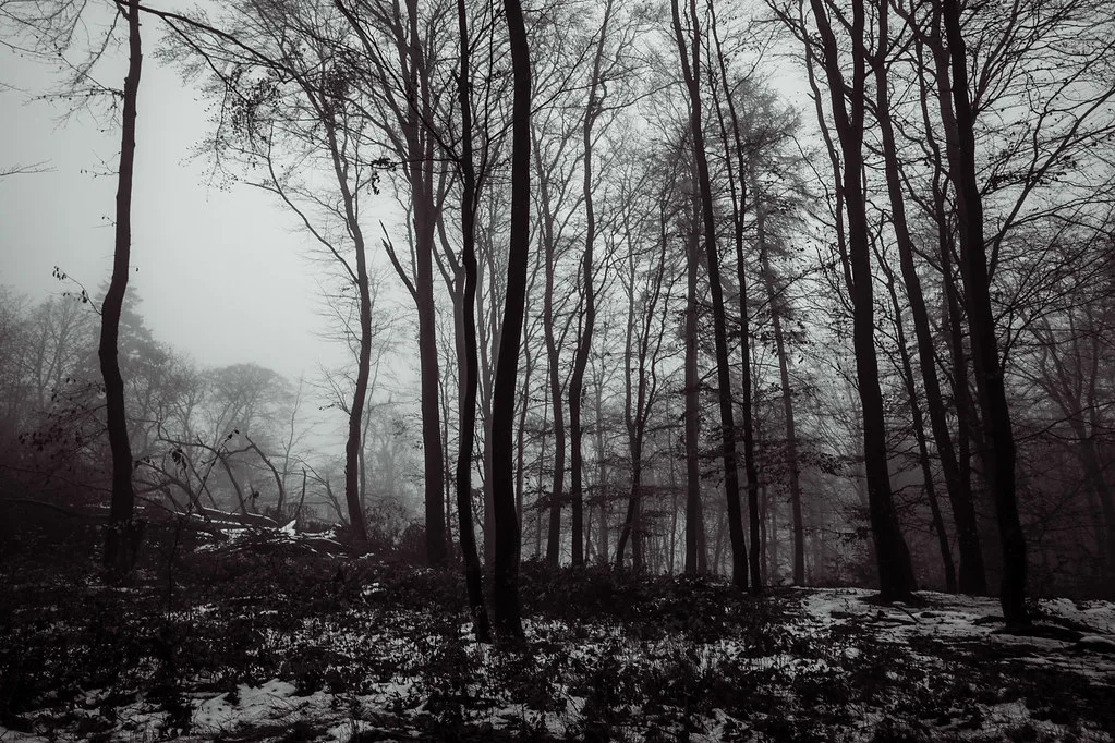 Our memories of winter (b&w), Germany