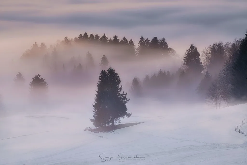 Im Nebel, Germany