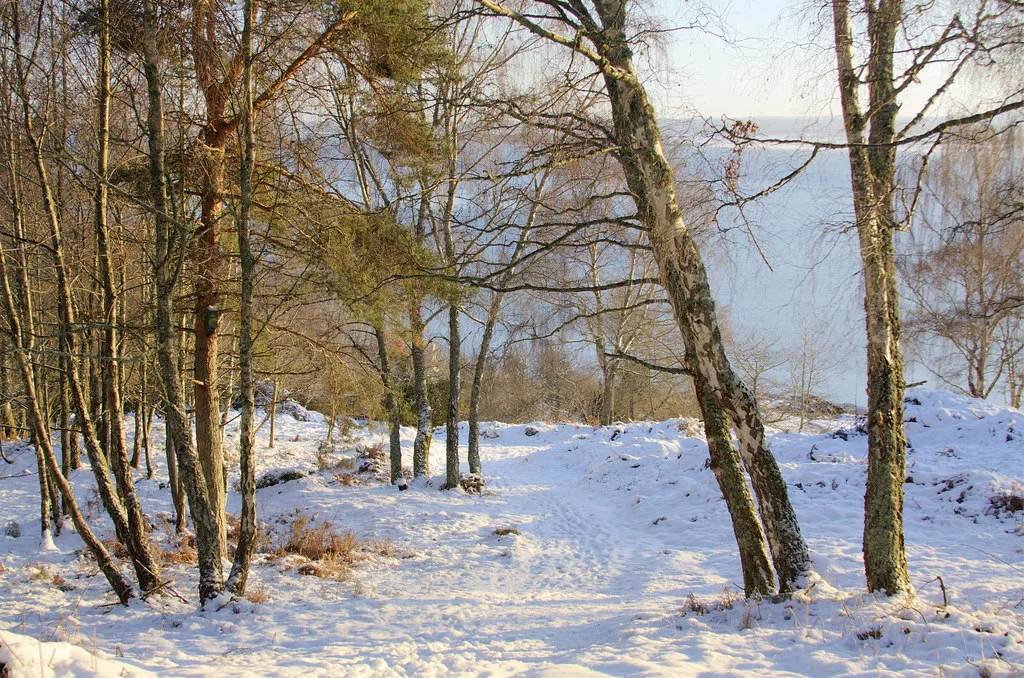 Winter, Inverness