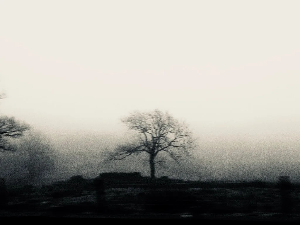 Since Yesterday, Leeds