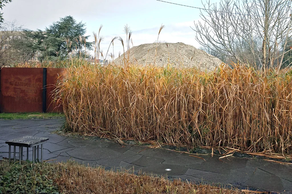 Lille jardin geants entree