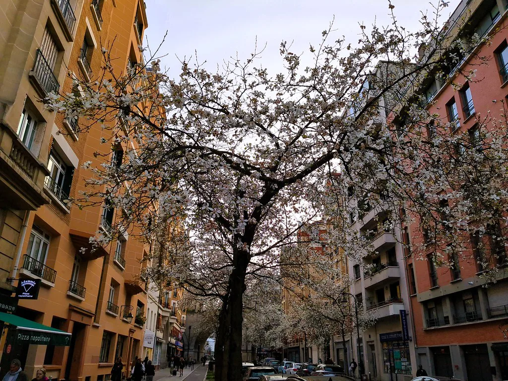 RUE ABEL, Lyon