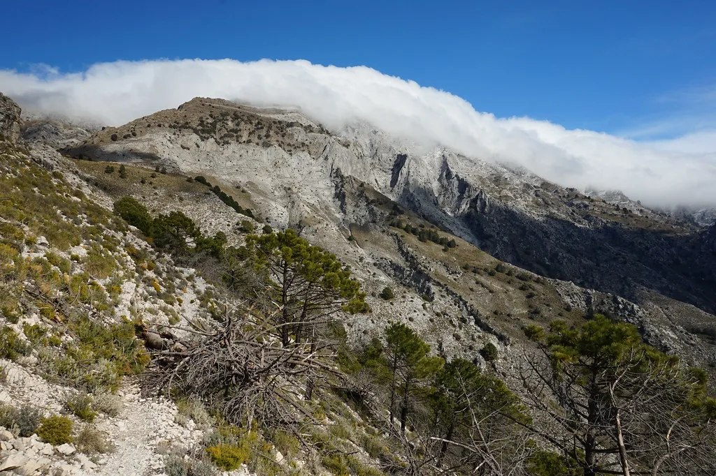 La Maroma, Nerja