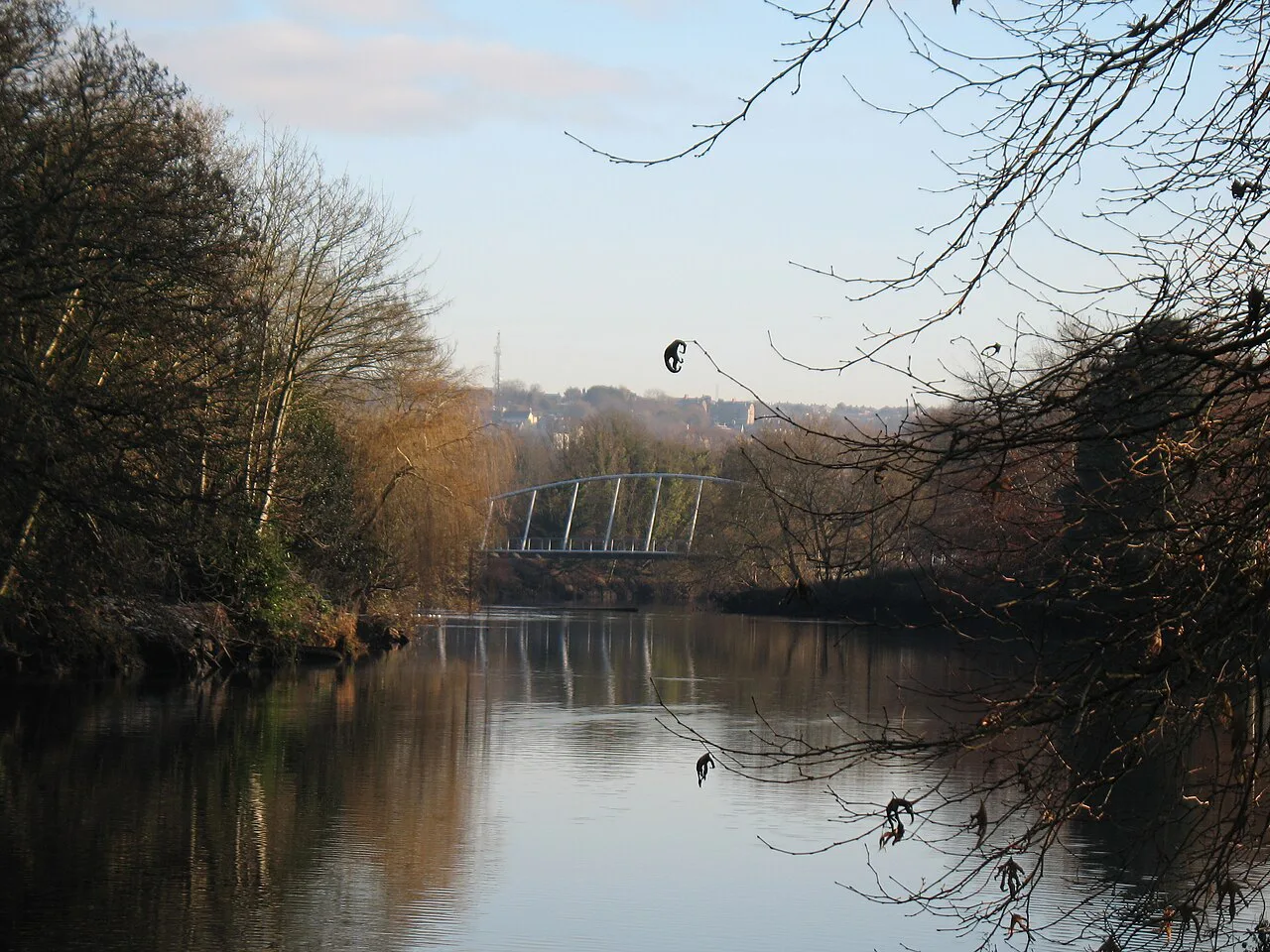 River Lee, Cork, with Mardyke Bridge, seen from Fitzgerald Park - panoramio
