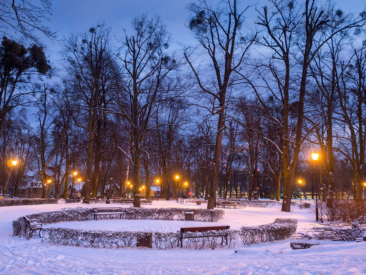 Gdańsk Aniołki, Park Daniela Gralatha (winter is back)